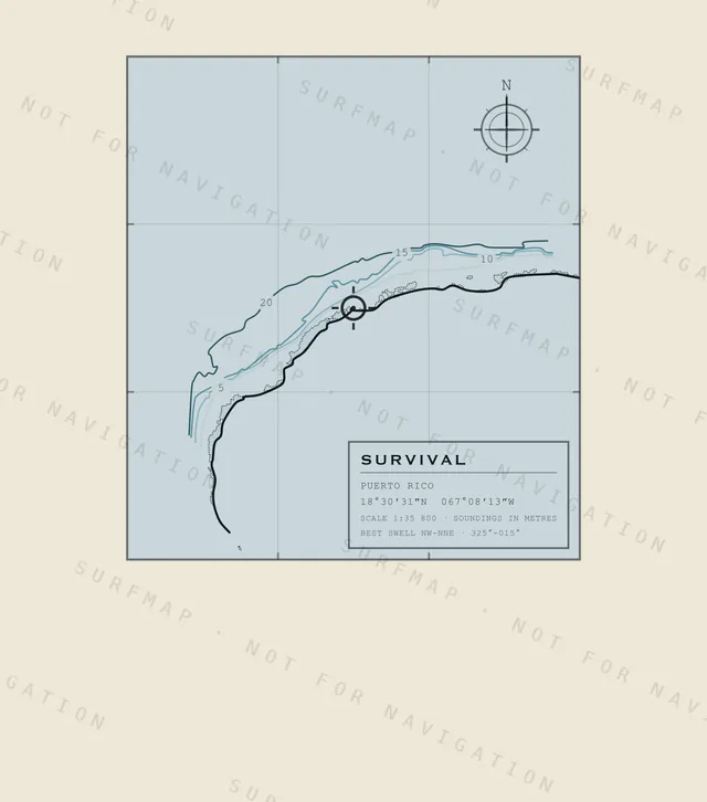 Survival chart, the full artwork printed on the back