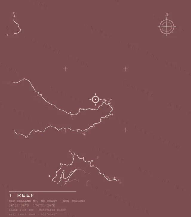 T Reef chart, the full artwork printed on the back