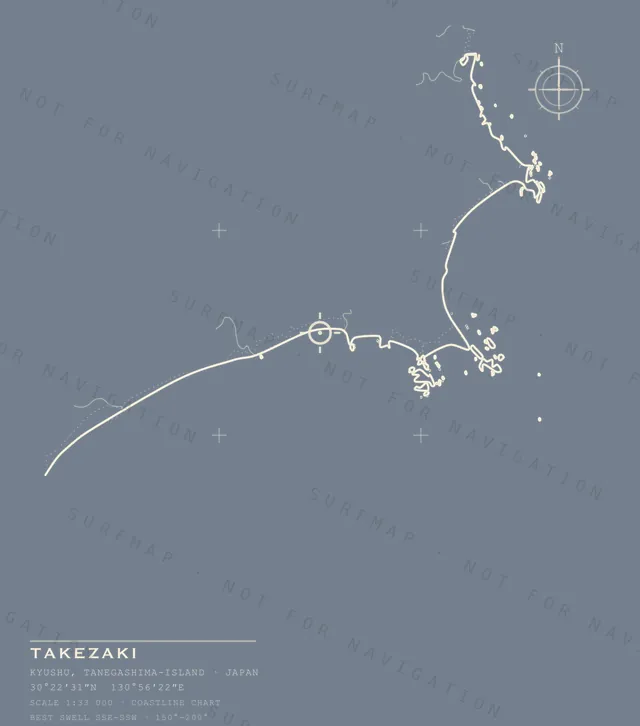 Takezaki chart, the full artwork printed on the back