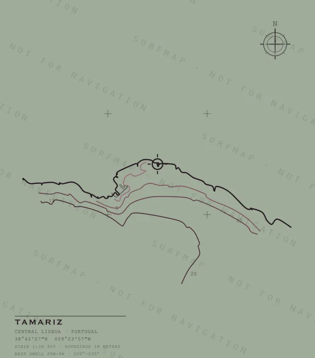 Tamariz chart, the full artwork printed on the back