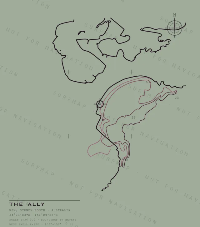 The Ally chart, the full artwork printed on the back