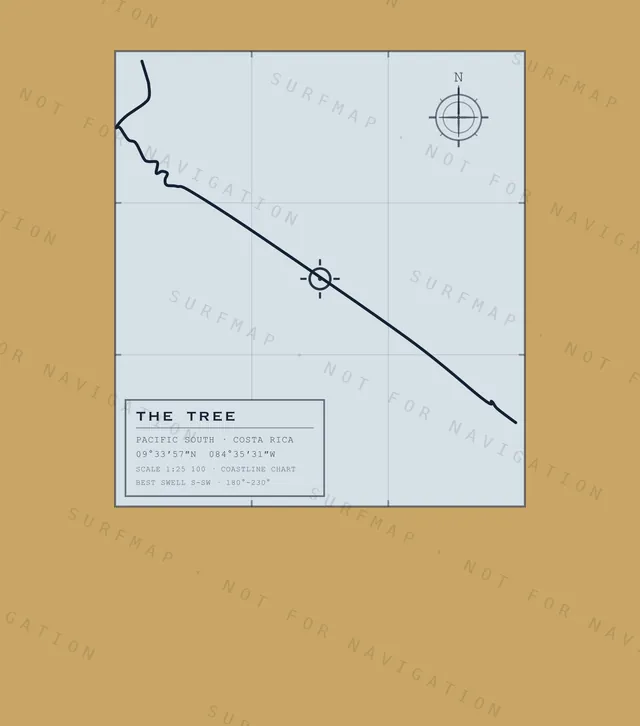 The Tree chart, the full artwork printed on the back