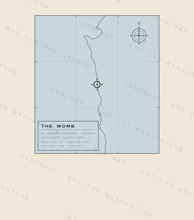 The Womb chart, the full artwork printed on the back