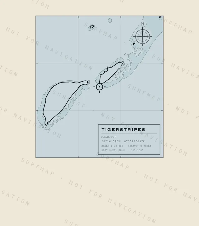 Tigerstripes chart, the full artwork printed on the back