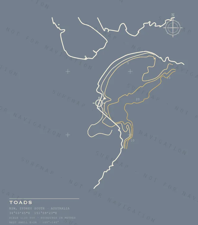 Toads chart, the full artwork printed on the back