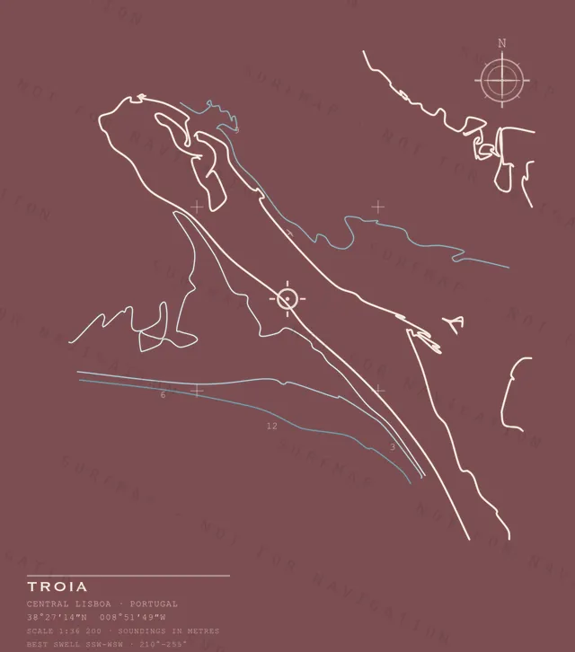 Troia chart, the full artwork printed on the back