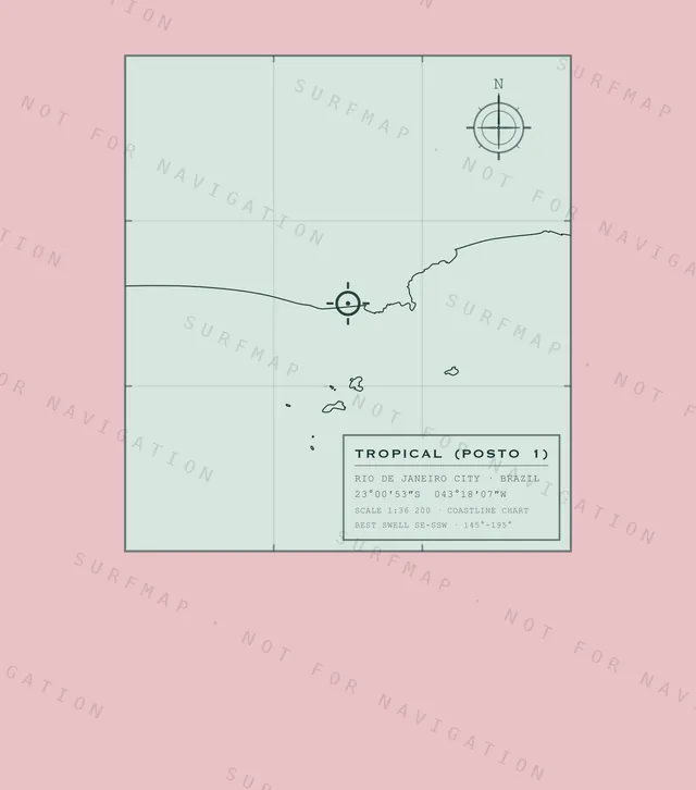 Tropical (Posto 1) chart, the full artwork printed on the back