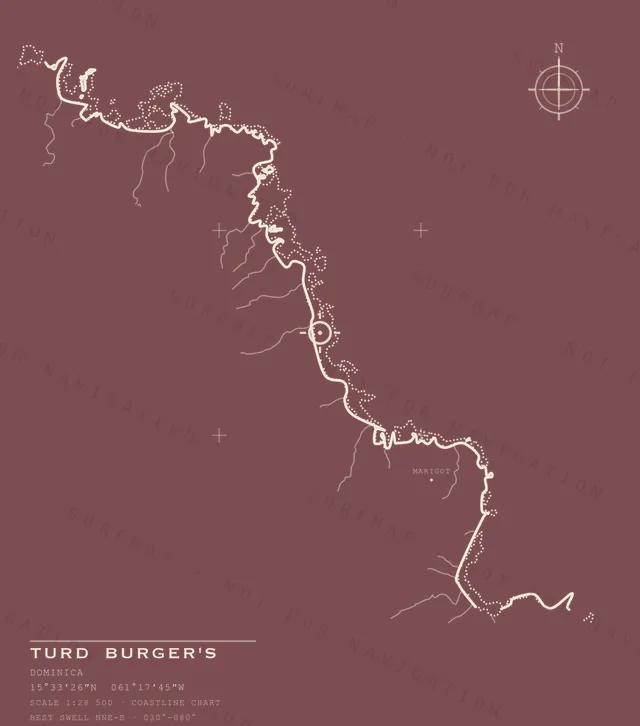 Turd Burger's chart, the full artwork printed on the back