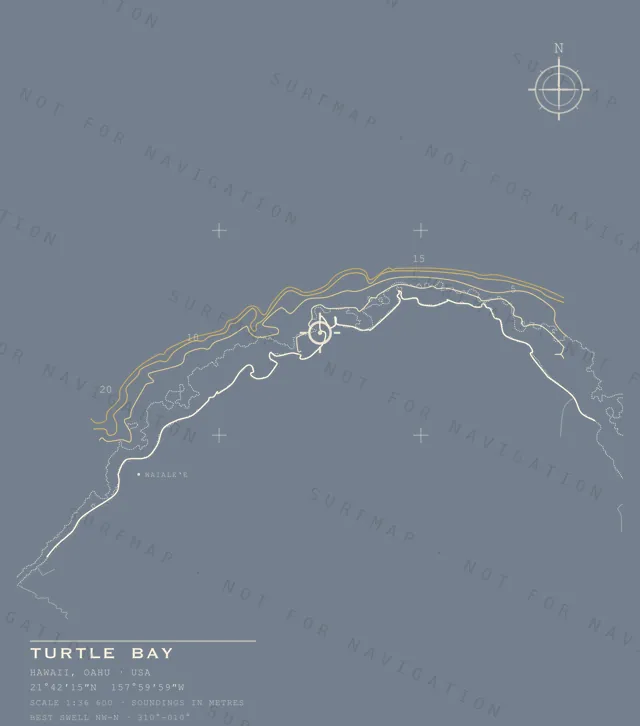 Turtle Bay chart, the full artwork printed on the back