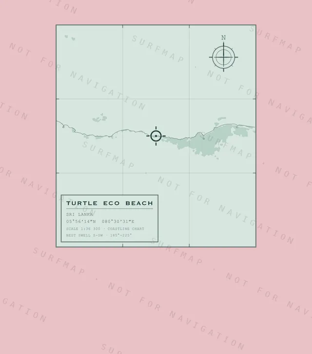 Turtle Eco Beach chart, the full artwork printed on the back