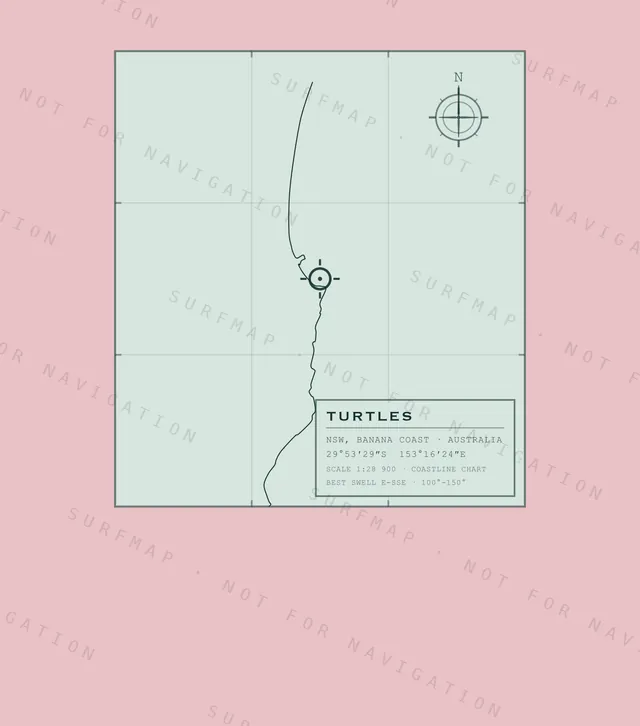 Turtles chart, the full artwork printed on the back