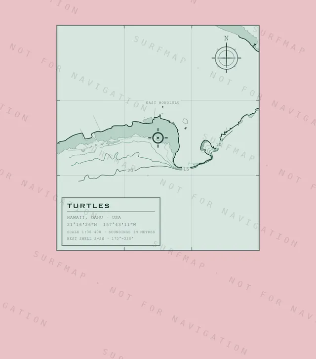 Turtles chart, the full artwork printed on the back