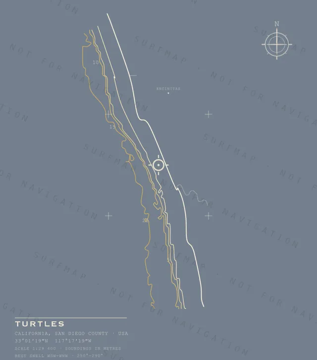 Turtles chart, the full artwork printed on the back