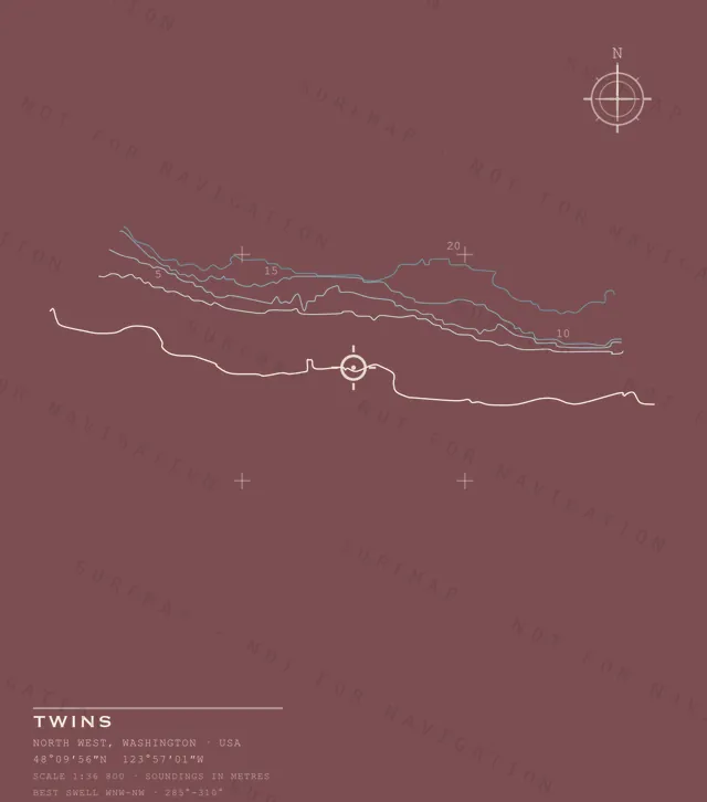 Twins chart, the full artwork printed on the back