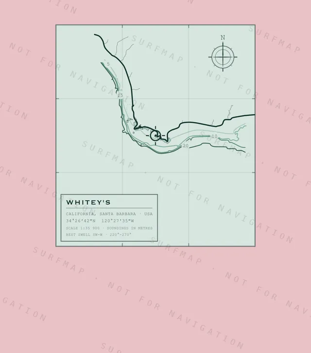 Whitey's chart, the full artwork printed on the back