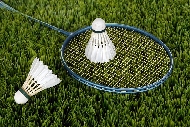 Best Outdoor Badminton Shuttlecocks