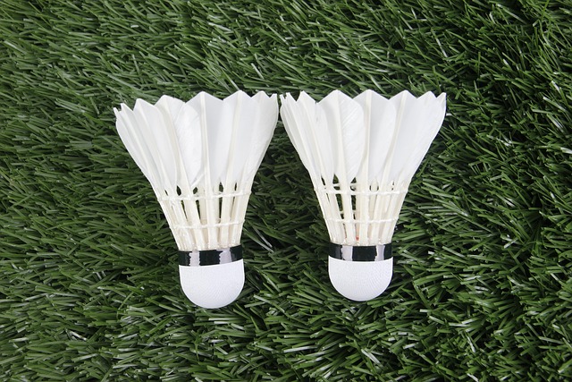 Best Outdoor Badminton Shuttlecocks