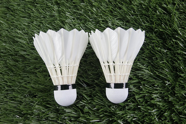 Best Outdoor Badminton Shuttlecocks
