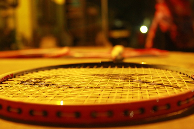 APACS Z Ziggler Badminton Racket: Best Choice