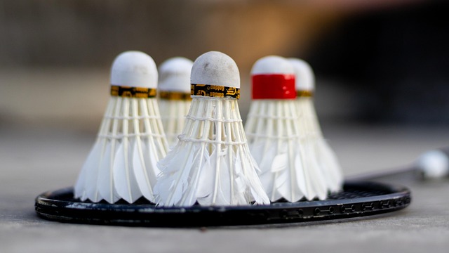 Best Outdoor Badminton Shuttlecocks
