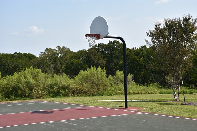 Basketball Lighting: The Best Guide