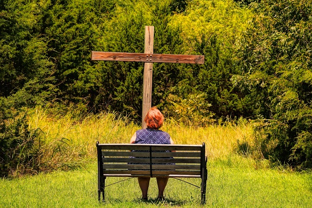 The Sorrowful Mysteries - A Guide to Prayer & Scripture