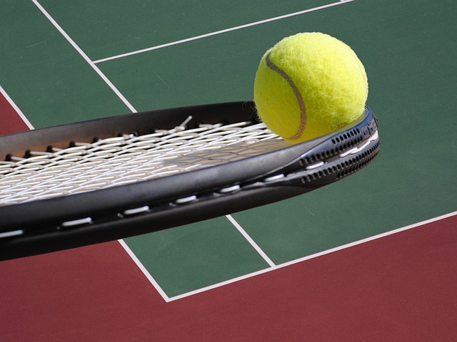 Speedminton Court Setup Guide for Beginners