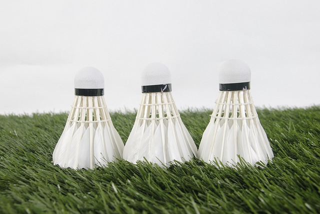 Best Outdoor Badminton Shuttlecocks