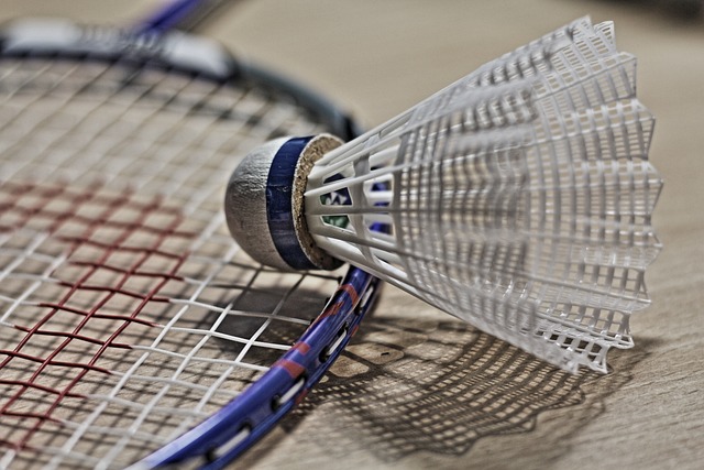 Badminton Court Near Me