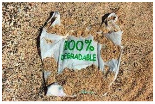 100% biodegradable