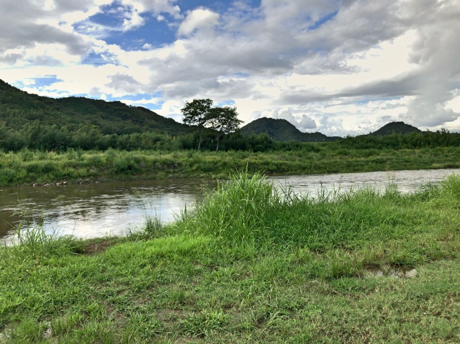 狩野川