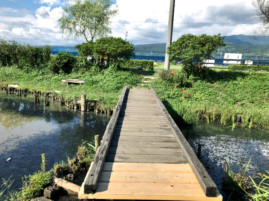 釣り場所