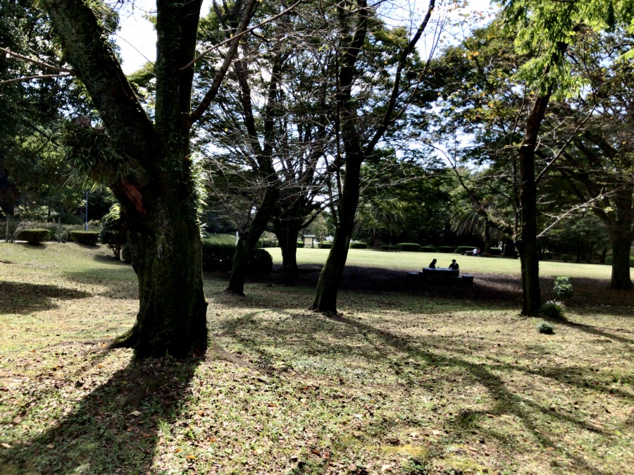 公園