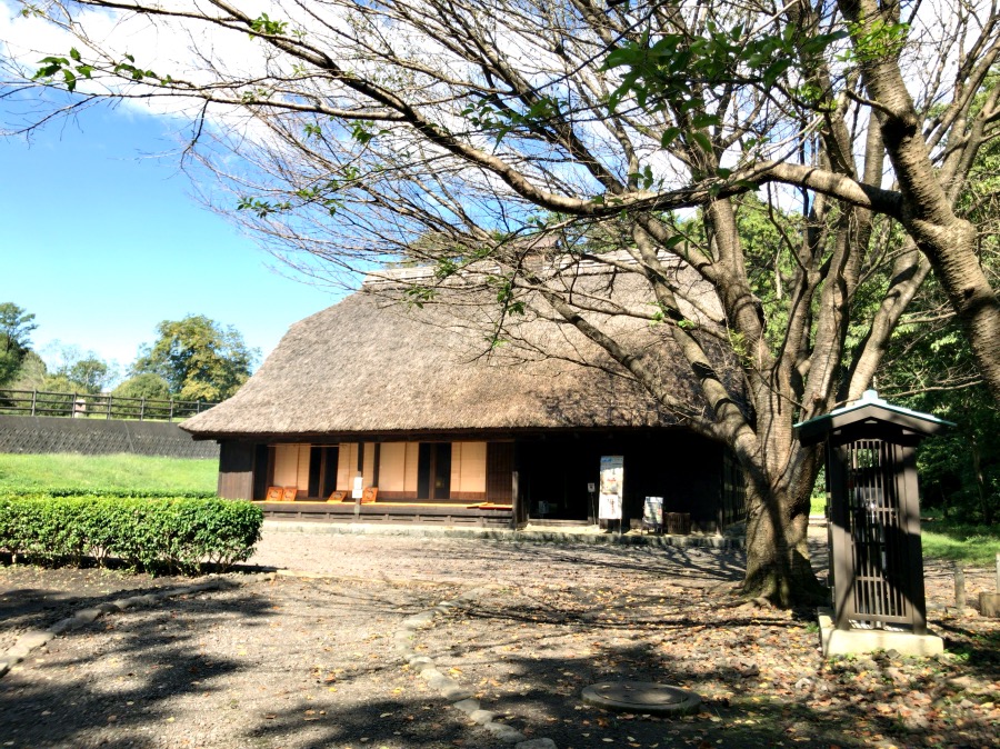 広見公園 富士山かぐや姫ミュージアム 富士市の自然と文化施設が併設された見所たくさんの公園 駿河部