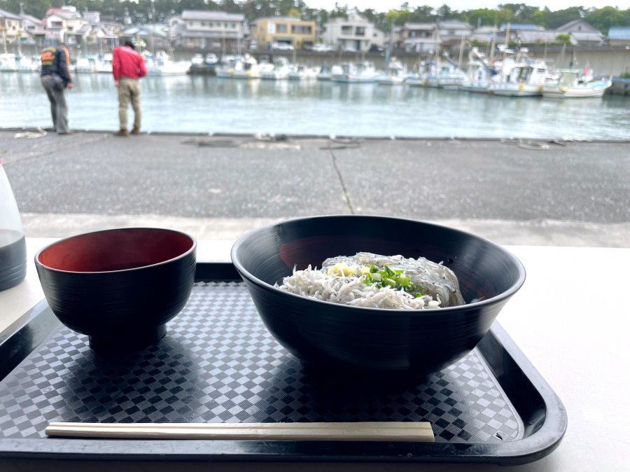 しらす丼