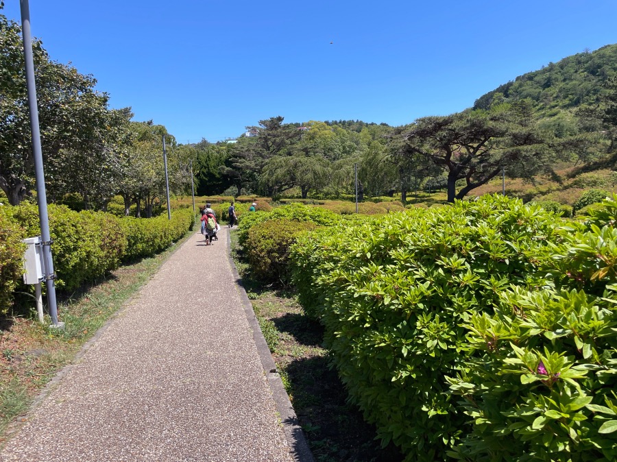 小室山公園