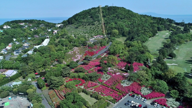 つつじ公園