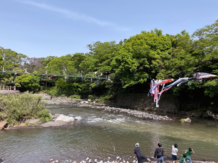 吊り橋