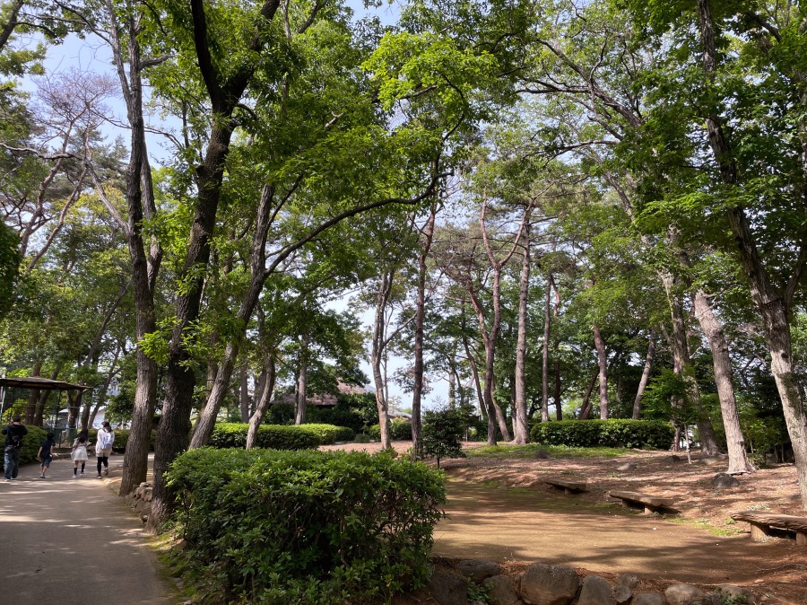 公園