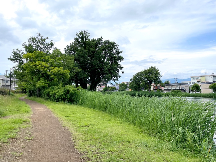 遊歩道