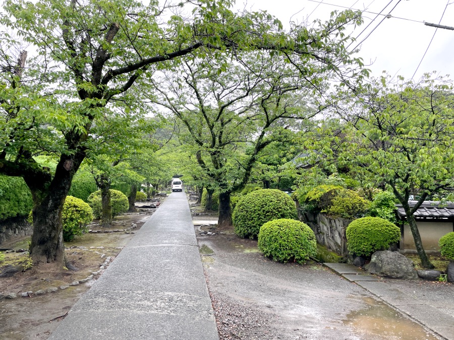 参道