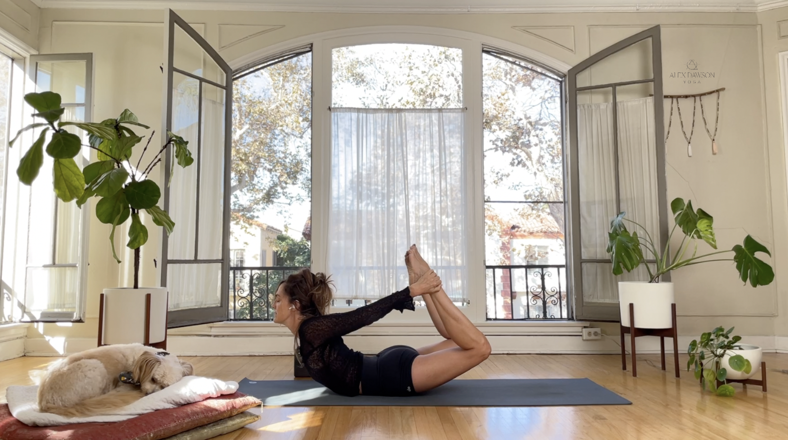 On Demand ADY — Alex Dawson Yoga