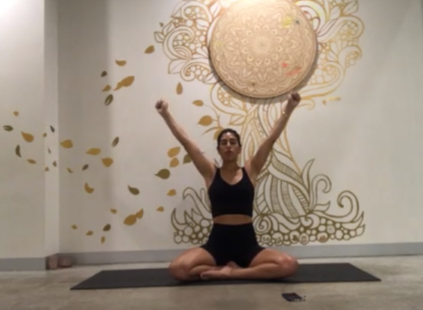 The Great Yoga Wall - Yoga Santosha