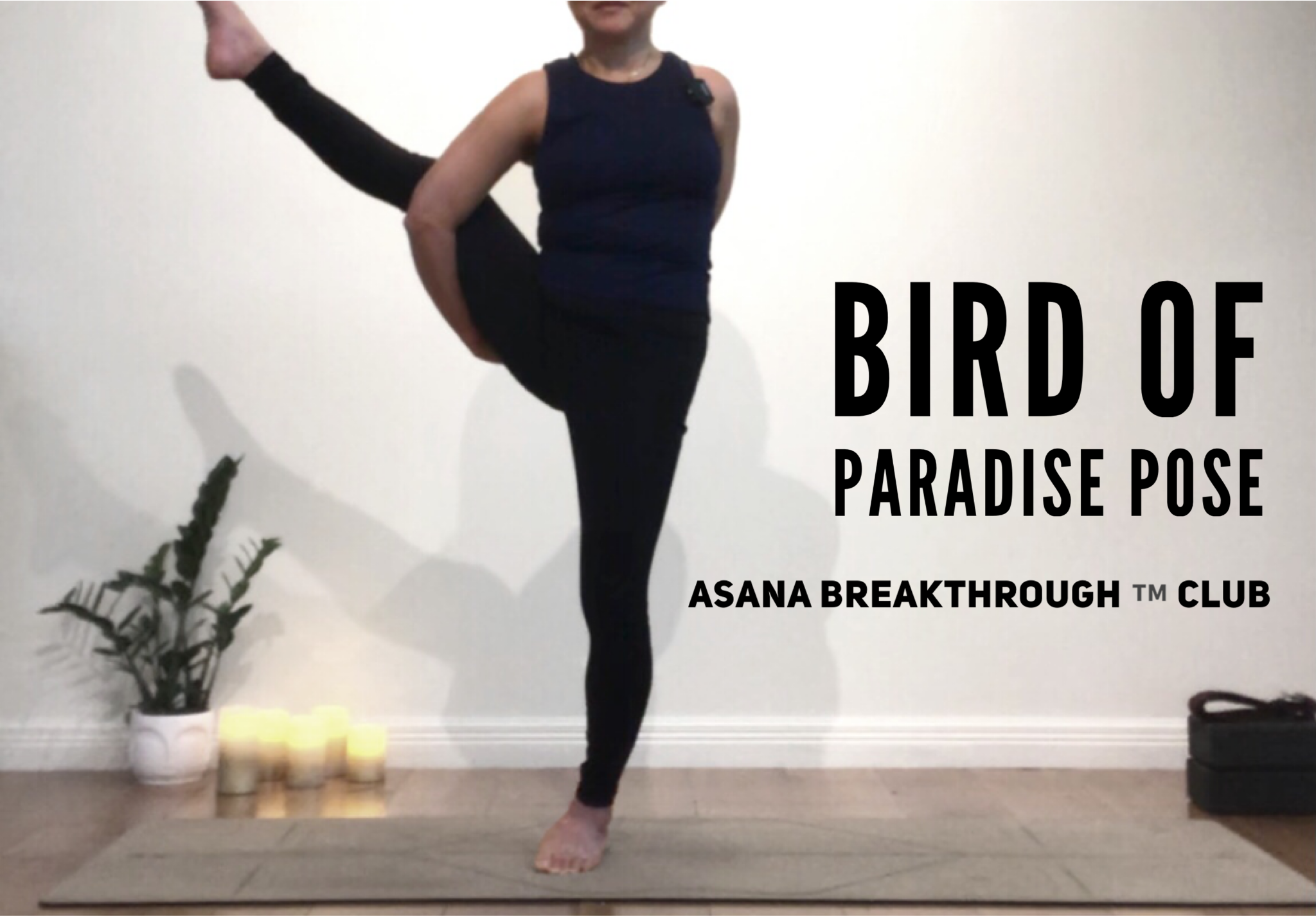 Bird of paradise yoga class | Strength building yoga class 2022 | Yoga for  open hips | Hip opening - YouTube