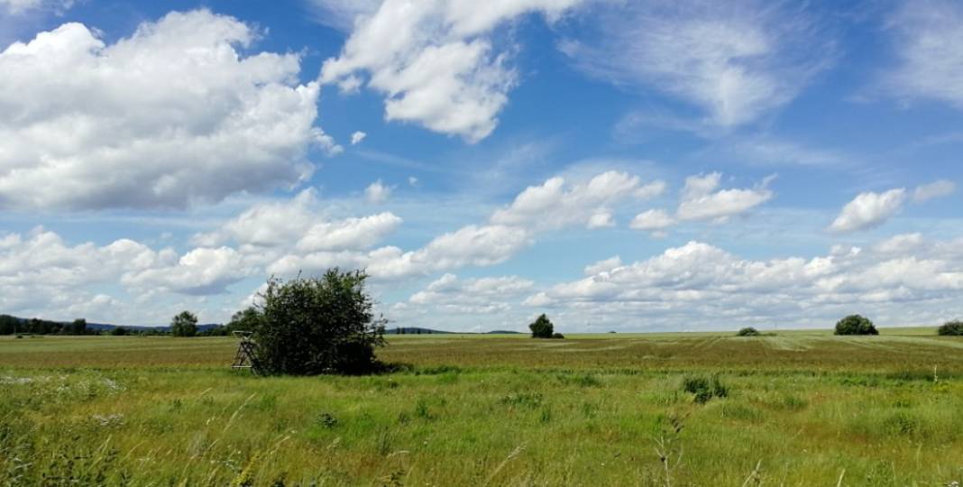 Pozemek