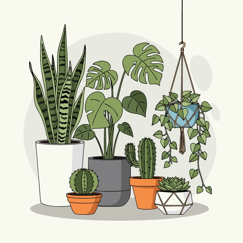 Houseplants