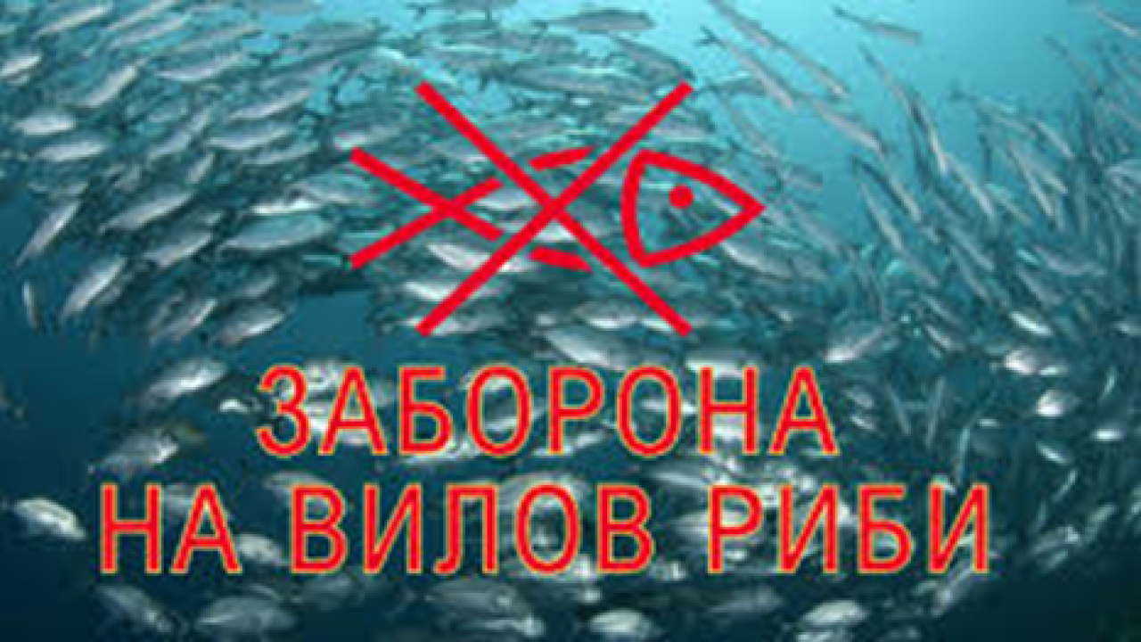 6667f75eae082__изображение_2024-06-11_100454480.png 6667f75eae082__изображение_2024-06-11_100454480.png