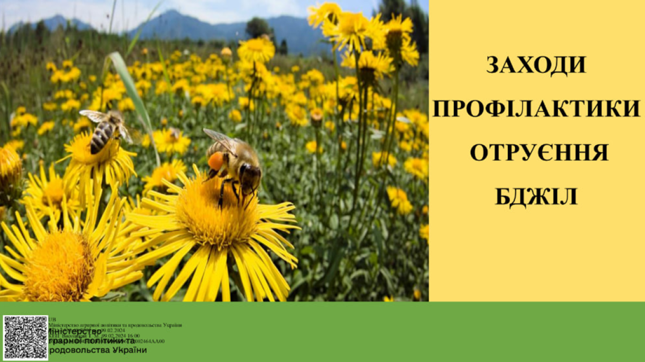 6673e2962350d__изображение_2024-06-20_110404277.png 6673e2962350d__изображение_2024-06-20_110404277.png