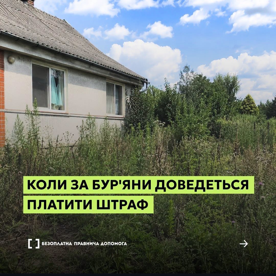 36047aff-6b13-416d-b927-04e7aed5b063.jpeg