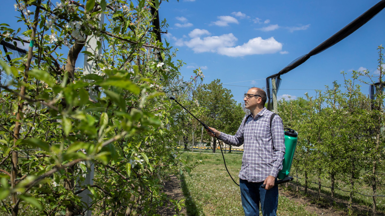 6482d53248fa6__male-agronomist-treating-apple-trees-with-pesticides-in-orchard.jpg